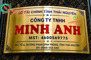 in uv trên inox vàng gương, chân cong, kt 50x30cm